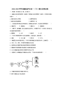 2022-2023学年西藏拉萨市高一（下）期末生物试卷（含解析）