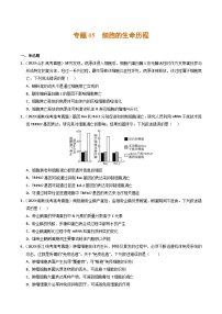 2023年高考真题和模拟题生物分项汇编（全国通用）专题05+细胞的生命历程