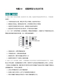 高考生物真题分项汇编 三年（2021-2023）（全国通用）专题03+细胞呼吸与光合作用