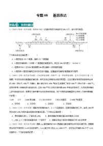 高考生物真题分项汇编 三年（2021-2023）（全国通用）专题08+基因表达