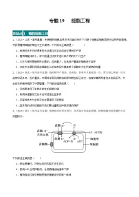 高考生物真题分项汇编 三年（2021-2023）（全国通用）专题19+细胞工程