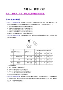 高考生物真题分项汇编（全国通用）五年（2019-2023）专题04 酶和ATP