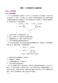 高考生物真题分项汇编（全国通用）五年（2019-2023）专题11 伴性遗传和人类遗传病