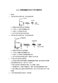 高中人教版 (2019)二 动物细胞融合技术与单克隆抗体精品当堂检测题