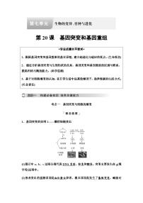 2024届高考生物一轮复习第7单元第20课基因突变和基因重组学案