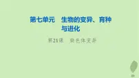 2024版高考生物一轮总复习第7单元生物的变异育种与进化第21课染色体变异课件