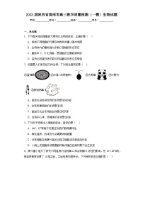 2023届陕西省渭南市高三教学质量检测（一模）生物试题（含解析）