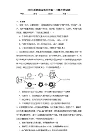2023届湖南省郴州市高三二模生物试题(含解析)