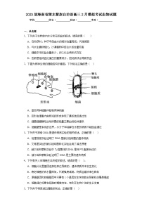 2023届海南省陵水黎族自治县高三2月模拟考试生物试题（含解析）