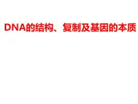 2023届高三生物一轮复习：DNA的结构、复制与基因的本质 课件