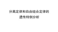 2023届高三生物一轮复习：自由组合定律 课件