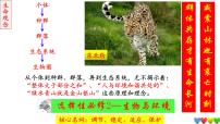 2023届高三生物一轮复习课件 种群及其动态