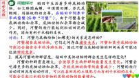 2023届高三生物一轮复习课件群落及其演替
