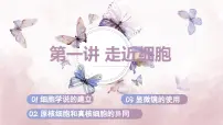 2024届高三生物一轮复习课件 第1讲 走近细胞