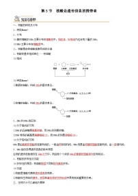 高中生物人教版 (2019)必修1《分子与细胞》第5节 核酸是遗传信息的携带者精品巩固练习