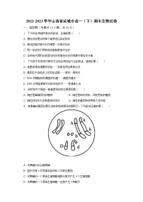 2022-2023学年山西省运城市高一（下）期末生物试卷（含解析）