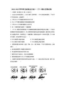 2022-2023学年河北省保定市高一（下）期末生物试卷（含解析）