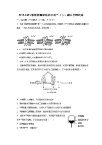 2022-2023学年湖南省岳阳市高二（下）期末生物试卷（含解析）