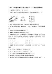 2022-2023学年黑龙江省某校高一（下）期末生物试卷（含解析）