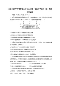 2022-2023学年甘肃省金昌市永昌第一高级中学高二（下）期末生物试卷（含解析）