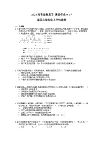 高考生物一轮复习 课后作业本17 基因在染色体上伴性遗传(含解析)