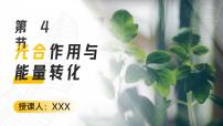 高中人教版 (2019)第5章 细胞的能量供应和利用第4节 光合作用与能量转化一 捕获光能的色素和结构优质ppt课件