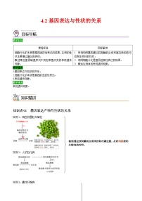 高中生物人教版 (2019)必修2《遗传与进化》第2节 基因表达与性状的关系优秀测试题