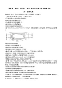 2023“BEST合作体”高二下学期期末联考生物试题含答案