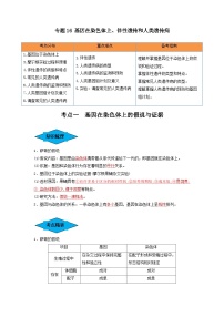 专题16 基因在染色体上、伴性遗传和人类遗传病（串讲）-备战2024年高考生物一轮复习串讲精练（新高考专用）（解析版）