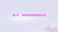 2024届高考生物一轮总复习必修1第5章细胞的能量供应和利用第3节细胞呼吸的原理和应用课件