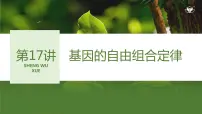 2024年高考生物大一轮必修2复习课件：第17讲　基因的自由组合定律