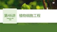 2024年高考生物大一轮选择性必修3复习课件：第46讲　植物细胞工程