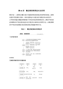 2024年高考生物大一轮选择性必修3复习讲义：第45讲　微生物的培养技术及应用