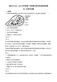 陕西省咸阳市2022-2023学年高一生物下学期期末试题（Word版附解析）