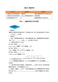 专题08 细胞呼吸（串讲）-备战2024年高考生物一轮复习串讲精练（新高考专用）（原卷版）