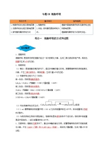 专题08 细胞呼吸（串讲）-备战2024年高考生物一轮复习串讲精练（新高考专用）（解析版）