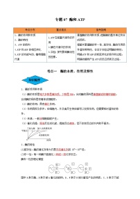 专题07 酶和ATP（串讲）-备战2024年高考生物一轮复习串讲精练（新高考专用）（解析版）