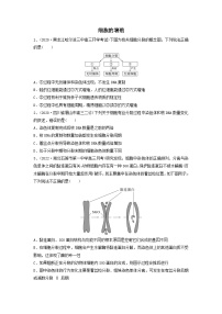 专题11 细胞的增殖（精练）-备战2024年高考生物一轮复习串讲精练（新高考专用）（原卷版）