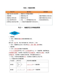 专题11 细胞的增殖（串讲）-备战2024年高考生物一轮复习串讲精练（新高考专用）（解析版）