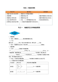 专题11 细胞的增殖（串讲）-备战2024年高考生物一轮复习串讲精练（新高考专用）（原卷版）