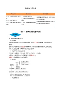 专题09 光合作用（串讲）-备战2024年高考生物一轮复习串讲精练（新高考专用）（解析版）