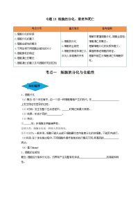 专题13 细胞的分化、衰老和死亡（串讲）-备战2024年高考生物一轮复习串讲精练（新高考专用）（原卷版）