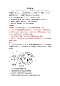 专题24 神经调节（精练）-备战2024年高考生物一轮复习串讲精练（新高考专用）（解析版）