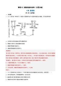 解密02 细胞的基本结构（分层训练)-【高频考点解密】2023年高考生物二轮复习讲义+分层训练（解析版）