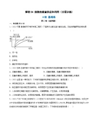 解密04 细胞的能量供应和利用（分层训练)-【高频考点解密】2023年高考生物二轮复习讲义+分层训练（原卷版）