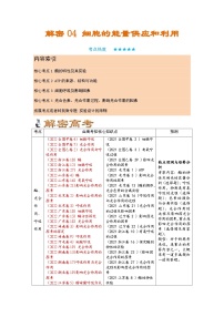 解密04 细胞的能量供应和利用（讲义)-【高频考点解密】2023年高考生物二轮复习讲义+分层训练（教师版）