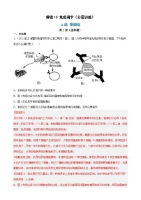 解密13 免疫调节（分层训练)-【高频考点解密】2023年高考生物二轮复习讲义+分层训练（解析版）