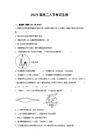 四川省凉山州宁南中学2023-2024学年高二上学期开学考试生物试题