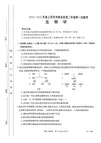 2024河南省创新发展联盟高二上学期开学考试生物试题扫描版含解析