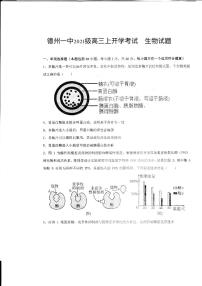 山东省德州市第一中学2023-2024学年高三上学期开学生物试题